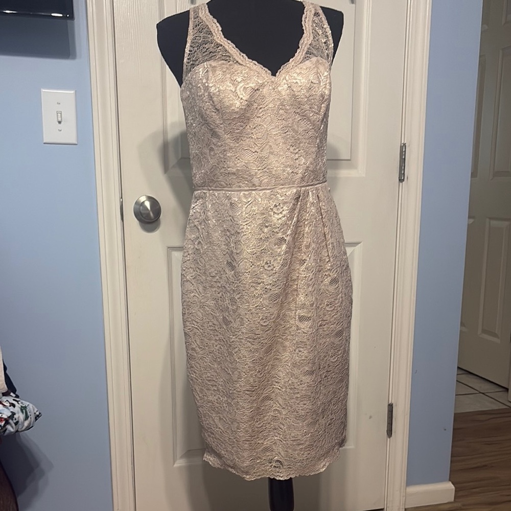 David's Bridal Short Tank Lace Dress with V-Neckline